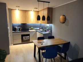 Komfortowy apartament dla 7 osób CH Arena, prywatny parking
